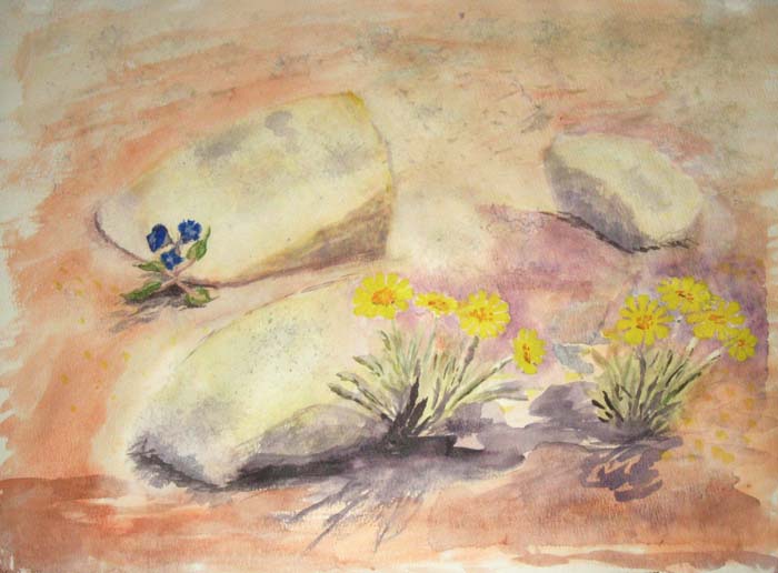 Desert Flowers Watercolor painting flowers among rocks. Tucson, Arizona